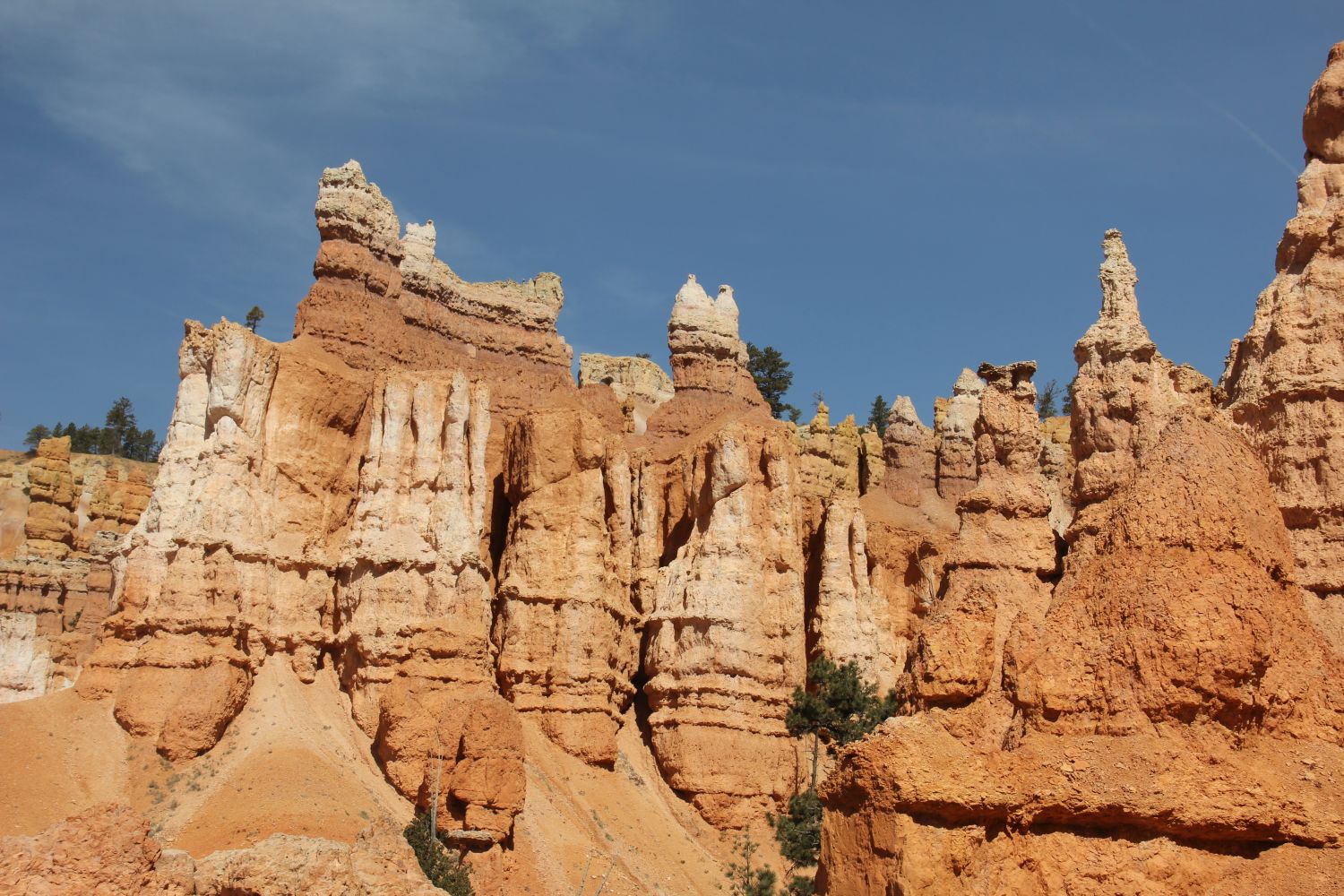 Queens/Navajo 